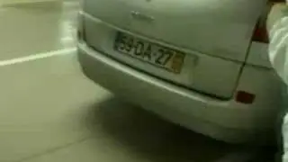 Sniffer Dogs search the McCanns Hired Car
