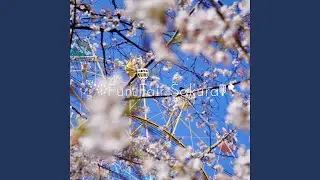 Sakura Fairy