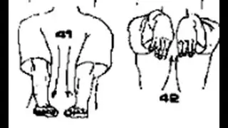 WING CHUN - Body Mechanics Drill #11 - High to Low, Low to High
