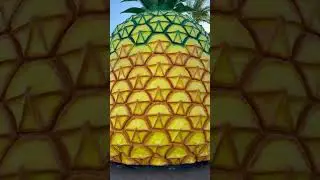 The Big Pineapple 🍍 #sunshinecoast  #australia #queensland