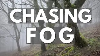 Foggy Woodland Photography | Searching for Compositions