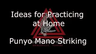 FCS Home Training - Punyo Mano Striking