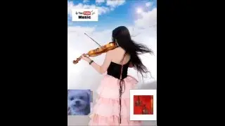 Desafinado bossa nova violin