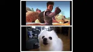 Shark boy and lava girl VS dog