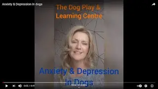 Anxiety & Depression in dogs