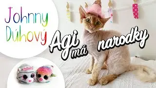 Johnny &ndash; Agi m&aacute; narodky
