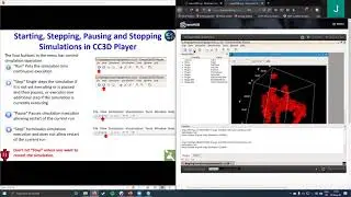 CC3D Workshop 1.1: Running CC3D, Core CC3D Tools&mdash;Twedit++ and Player