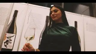 WineOS 2024