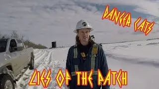 Danger Cats - Lies of the Patch
