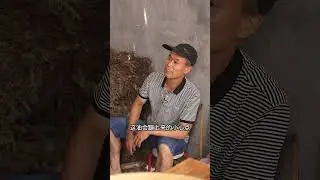 攒起来的猪皮，今天一次性给它做成猪皮泡，干锅好吃，凉拌也好吃，经济实惠，安全放心，很好做，自己在家里动动手指头，叫上你们的老公，很容易做好的喂！#跟着rose学做菜 #乡村守护人