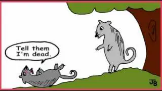 MOTHER-IN-LAW PROBLEMS in the ANIMAL WORLD