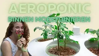 Aeroponic moestuin in je woonkamer | Heb ik al meer geleerd? | mijn ervaring