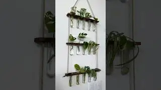 Fresh plant clippings to start off the month!! #propagation #houseplants