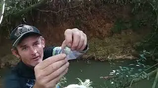 Esse peixe me deixou feliz usei a isca de rotina 