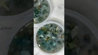 Ocean Floor Coasters