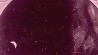 Hymie's Basement - Moonhead
