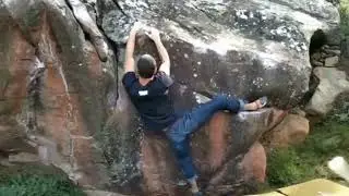 Sobao de romos. Vilafam&eacute;s