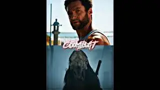 Wolverine VS Predator