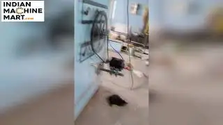 Egg Hatching Machine | In Bulk | Indian Machine Mart
