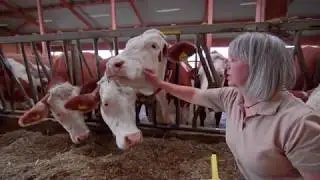 Schw&auml;lbchen Molkerei