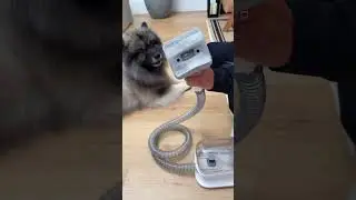 Pet Gadgets - At-home pet grooming and vacuum for cats and dogs