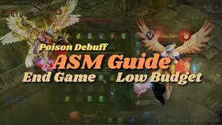 ASM Guide & Low Budget setup for End Game - MU online Season 16.1.3