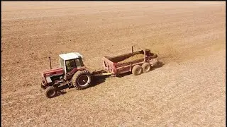 International 1486s Manure Spreading