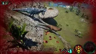 Acro Hunt: Coah