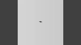 Return