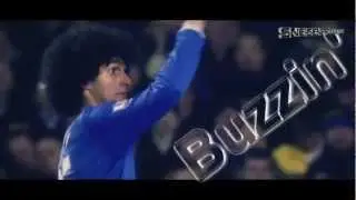 Marouane Fellaini | The Afro Man | Skills & Goals | 2012