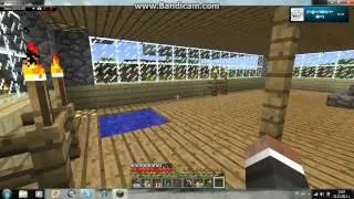 minecraft survival in the server Z S E R V E R