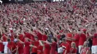 Game Day Excitement