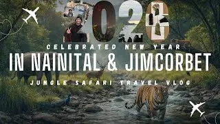 We Celebrated New Year Inside Jim Corbett Jungle 🐯 | Final Vlog @chiragunfilteredvlogs 