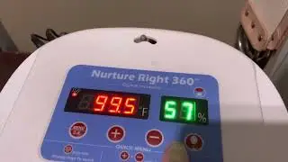 Day 18! Incubating Chicken Eggs. What to do?
