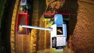 Harvest in Scotland 2014