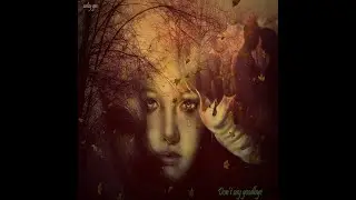 Don't Say Goodbye by Wiley Gee #musicvideo#youtubechannel#soul#indie#pixabay