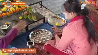 Kalsarp Dosh Puja Trimbakeshwar | Book Pooja Call Guruji 8788213494 | #kalsarp #trimbakeshwar #puja