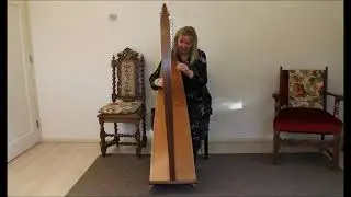 Harpist Regina Ederveen plays Be Thou My Vision on celtic harp