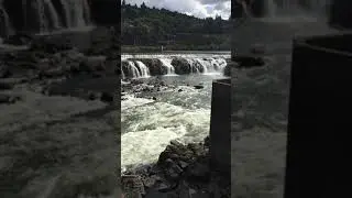 Willamette Falls from paper mill