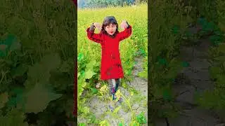 hamr piwa chalye hai lal chudiya#dance #dancesong #song