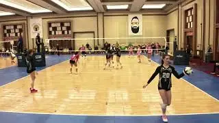 ECC 17 vs Synergy 17
