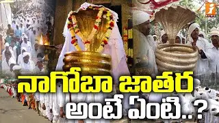 నాగోబా జాతర అంటే ఏంటి..? | Special Report On Adilabad Nagoba Jatara | iNews