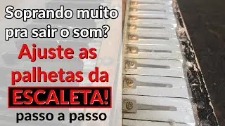 Difícil de sair som? Ajuste as palhetas da Escaleta! #16