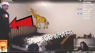 SCUMTK REACTS TO JANIX BEING 6&rsquo;7 FOR NO REASON!!! (NO-LIFE)