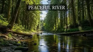 Peaceful River Flow 🌿 Calm Natural Ambience for Focus, Study, and Deep Rest #1851