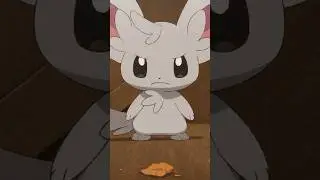 Poor Minccino 😔 #pokemon #POKETOON