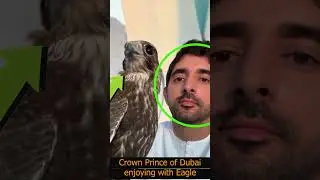 Crown Prince of Dubai Sheikh Hamdan Fazza enjoying with Eagle #fazza3team #reel #shorts