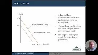 EC2156   Chapter 5   Labour Demand Part II