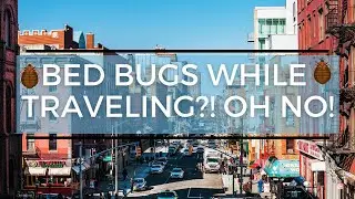 These 5 Things Will Help You Prevent Bed Bugs At A Hotel