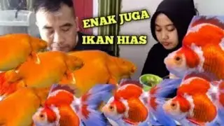 Pesmol ikan mas 